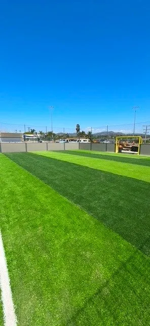 Synthetic turf arena with two-tone green stripes and a goal at the far end